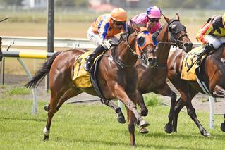 Prise De Fer claims his fifth consecutive race in the G3 Taranaki Cup. Photo: Race Images. 